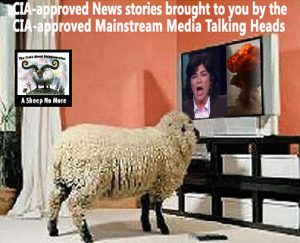 MEDIA-CIA-NEWS-SHEEPLE
